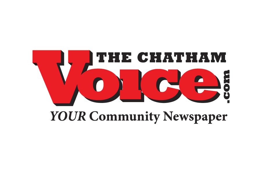 Web Sponsor logo - The Voice